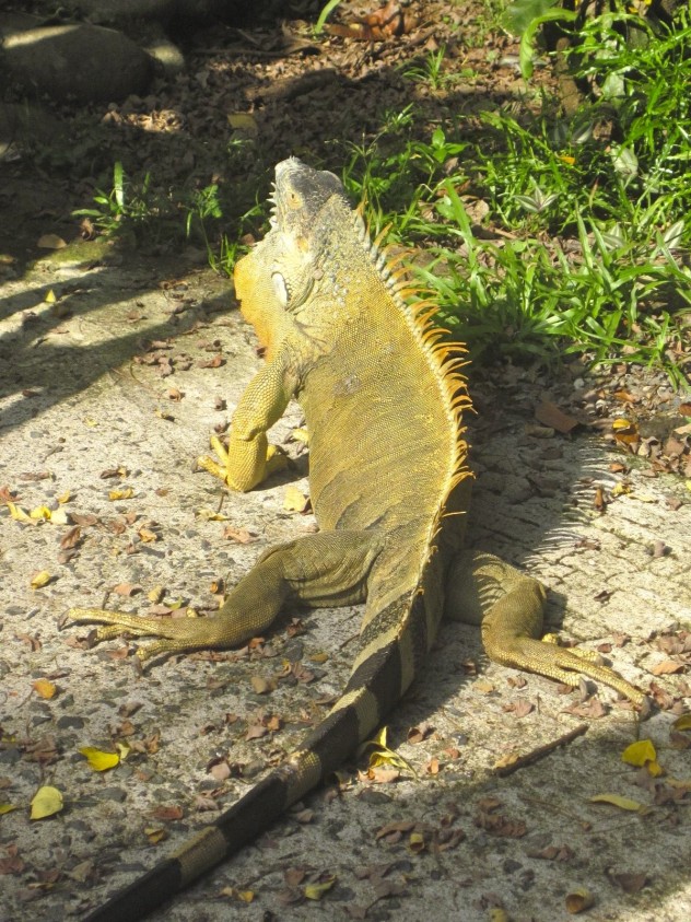 Costa Rica