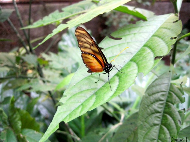 Costa Rica